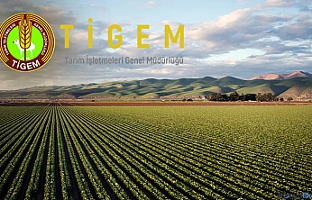 TİGEM, Konya'da 74 kamu personeli alımı yapacak