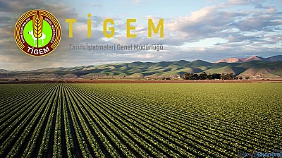 TİGEM, Konya'da 74 kamu personeli alımı yapacak