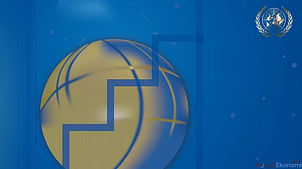 BM'den Türkiye değerlendirmesi, enflasyon ve riskler kalıcı