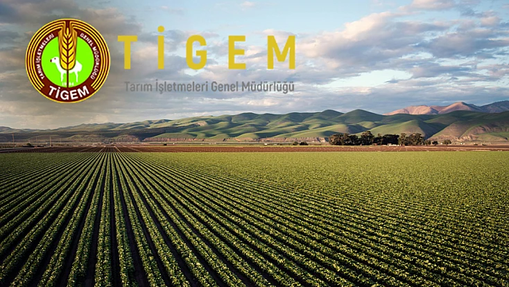 TİGEM, Konya’da 74 kamu personeli alımı yapacak