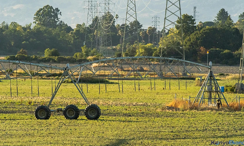 Konya'da çiftçiye 18,1 milyon lira tarımsal destek ödemesi